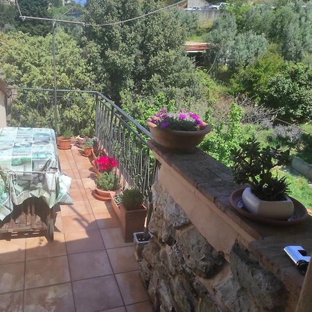 カンピーリア・マリッティマCasa Dei Nonni 57021アパートメント エクステリア 写真